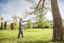 Best Commercial Tree Services  in Indian Rocks Beach, FL